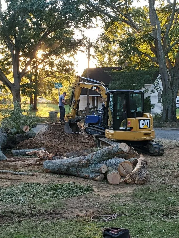 Affordable lawn care service in Union, SC by Taylor's Treescapes