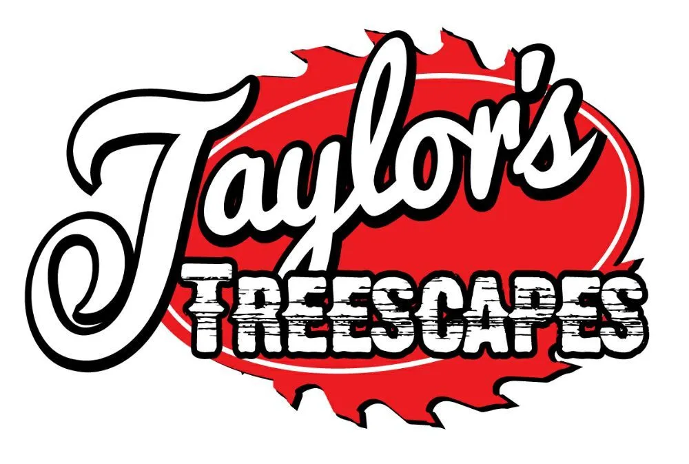Top-rated lawn mowing service near you across Union, SC - Taylor's Treescapes