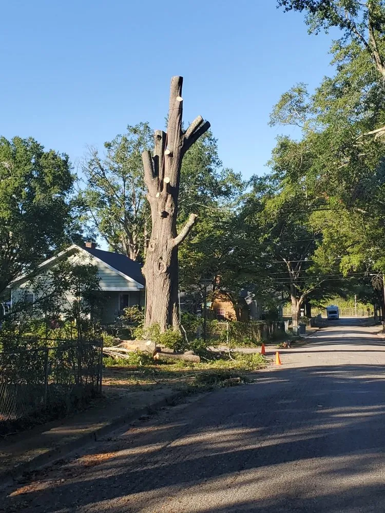 Trusted residential landscaping near you in Union, SC by Taylor's Treescapes