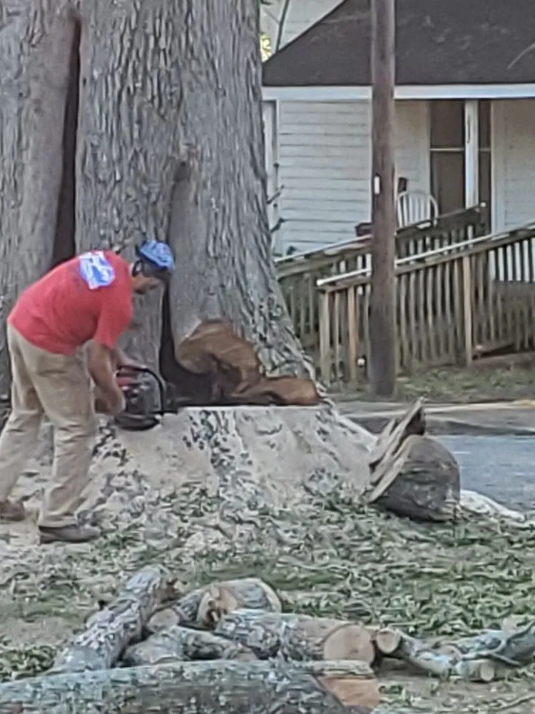 Affordable lawn care service in Union, SC - Taylor's Treescapes