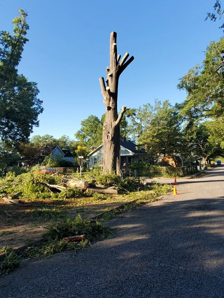 Custom landscaping services in Union, SC by Taylor's Treescapes