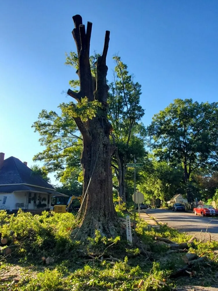 Expert garden landscaping in Union, SC - Taylor's Treescapes