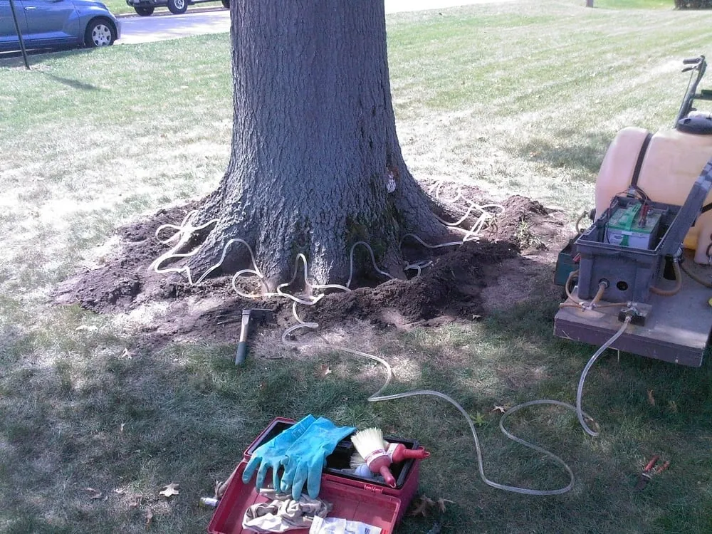 Custom landscaping services for outdoor upgrades across Princeton, IL - Taylor's Way