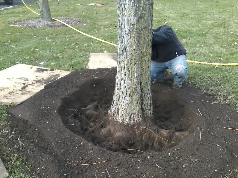 Reliable landscaping services in Princeton, IL - Taylor's Way