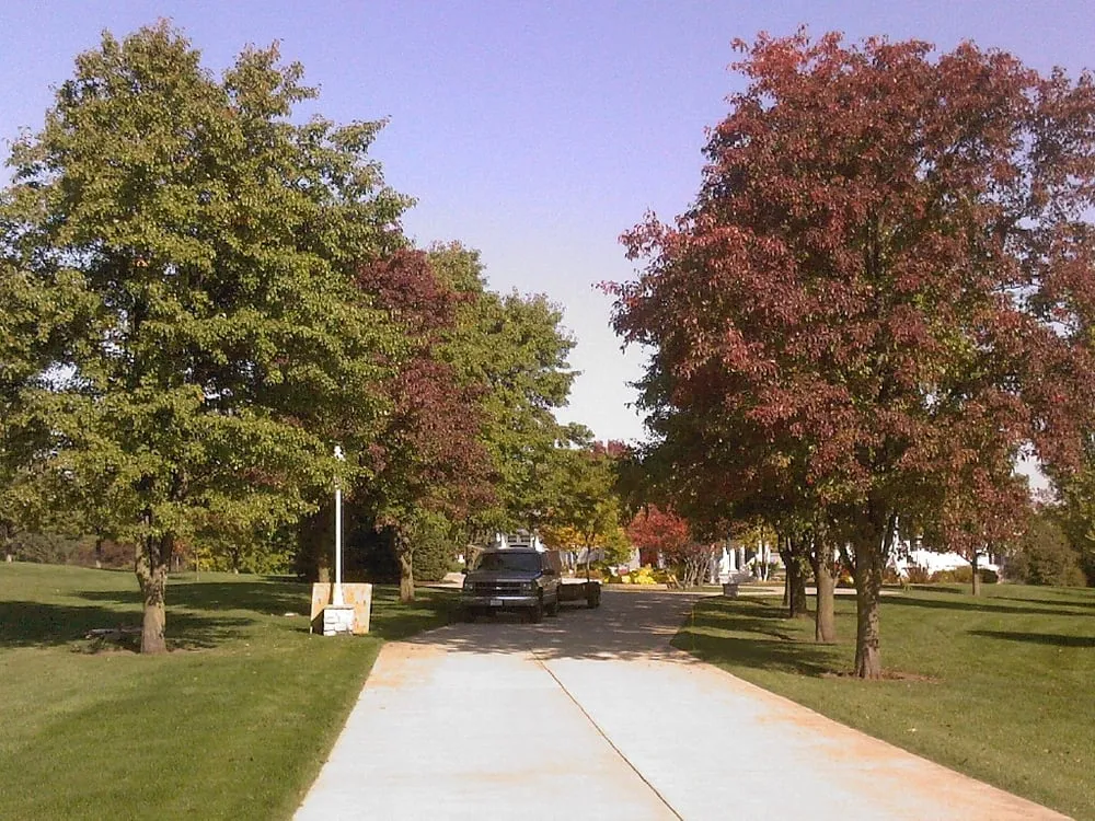 Professional lawn care service experts serving Princeton, IL - Taylor's Way