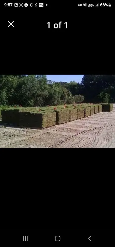 Local landscape installation in Selma, AL - TaylorScapes