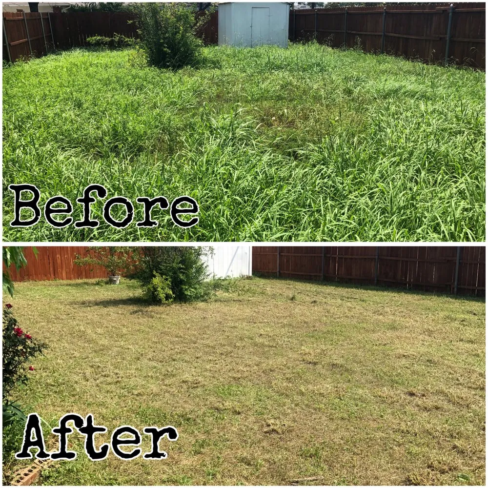 Custom residential landscaping near you across Mesquite, TX - Tays Lawn Care