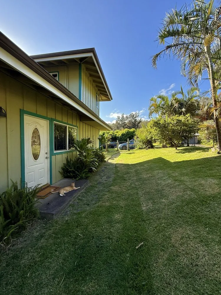 Custom yard cleanup service for residential properties in Honokaa, HI by Tayz Landscaping