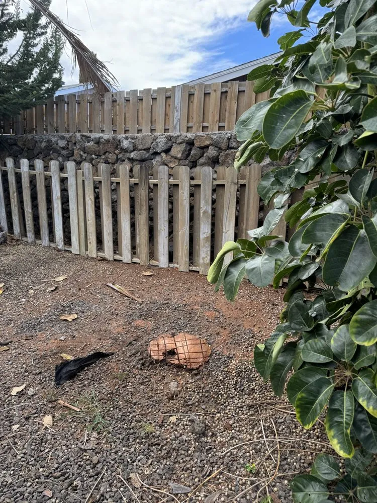 Top-rated landscape design experts serving Honokaa, HI - Tayz Landscaping