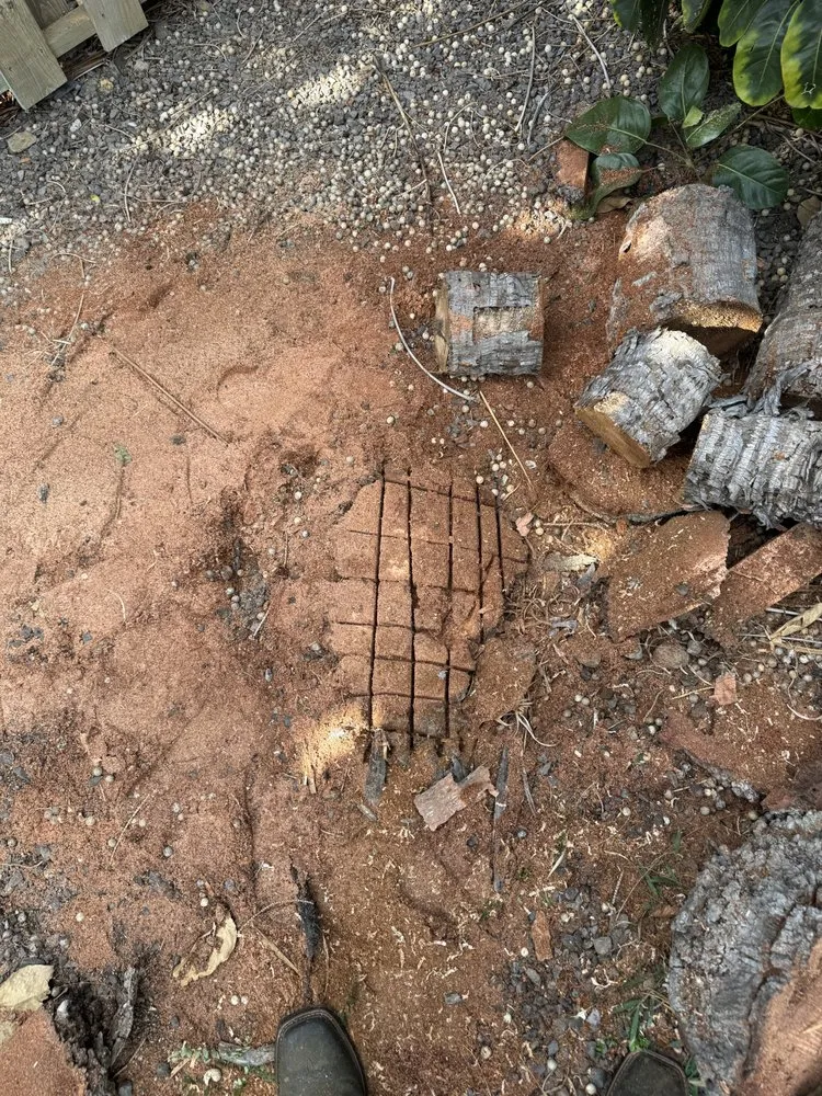 Custom landscaping services experts serving Honokaa, HI - Tayz Landscaping