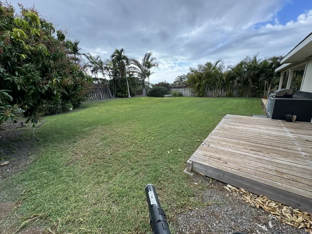 Trusted yard maintenance in Honokaa, HI by Tayz Landscaping