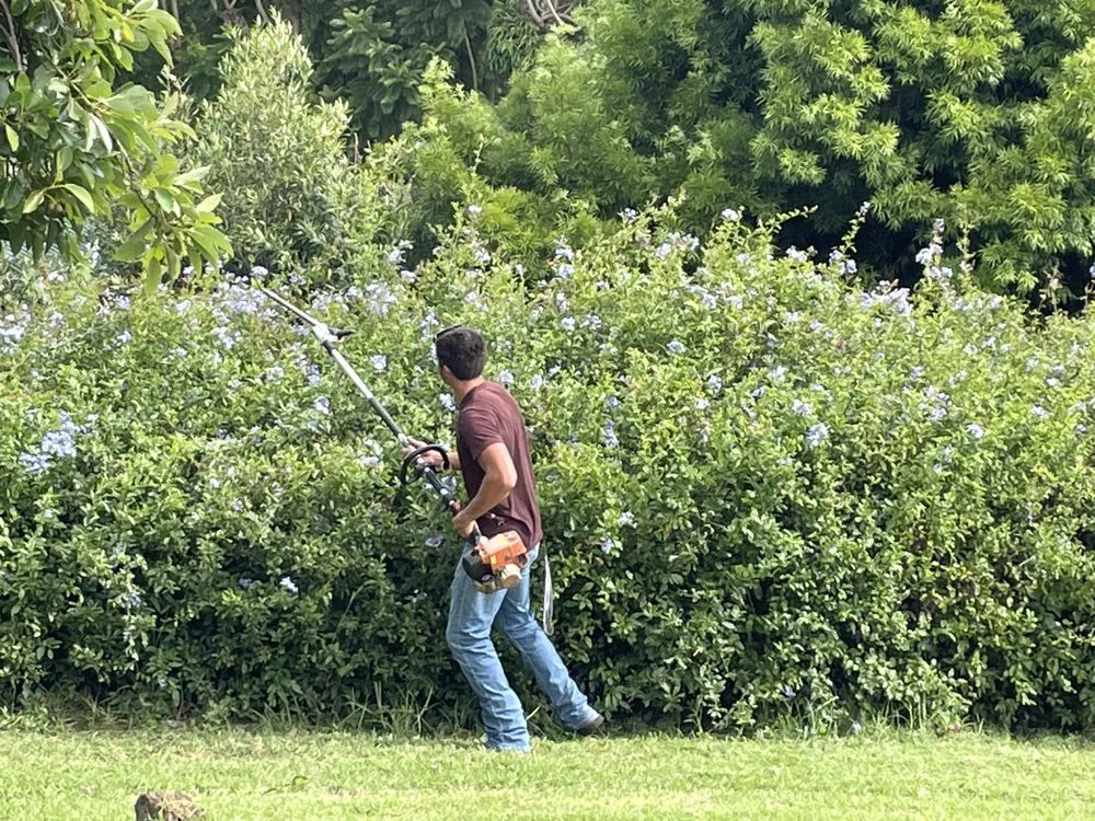 Top-rated lawn mowing service for outdoor upgrades across Honokaa, HI - Tayz Landscaping