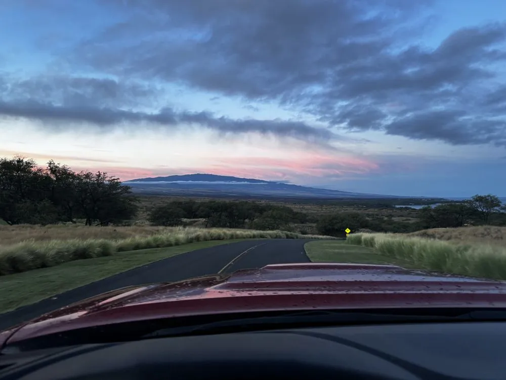 Professional yard maintenance experts serving Honokaa, HI - Tayz Landscaping