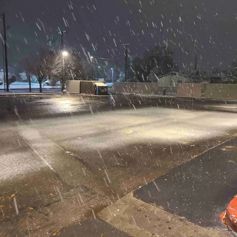 Top-rated outdoor landscaping in Albuquerque, NM by Tazz Landscape and Trash Removal