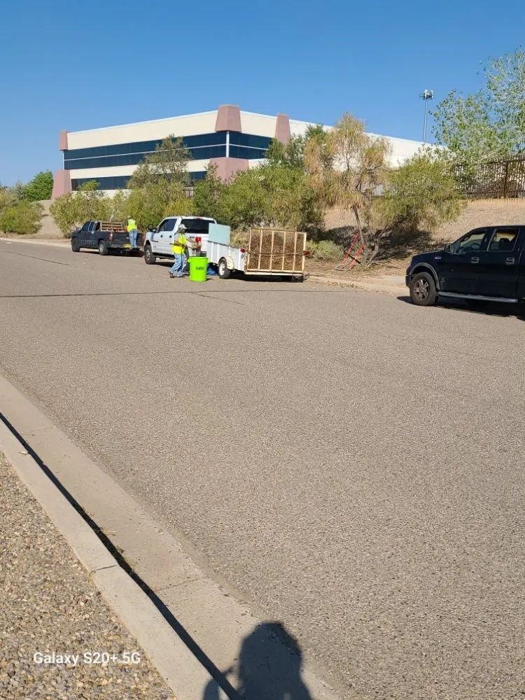 Affordable lawn care service in Albuquerque, NM by Tazz Landscape and Trash Removal