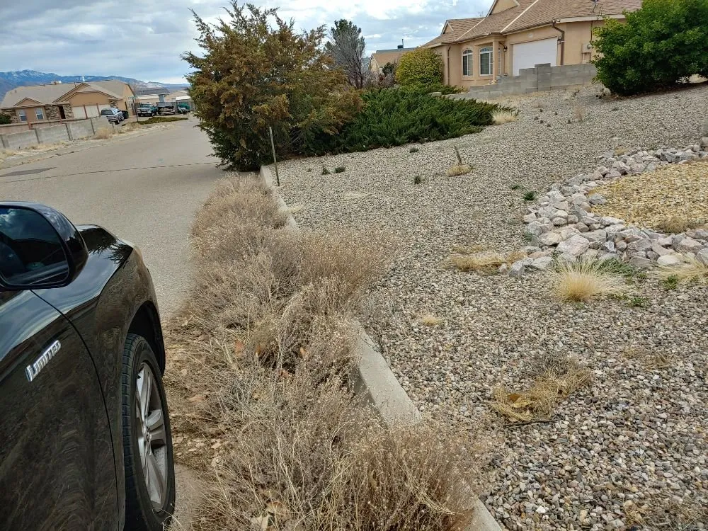 Trusted outdoor landscaping in Albuquerque, NM by Tazz Landscape and Trash Removal