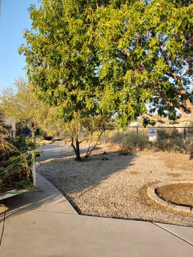 Trusted landscape installation in Albuquerque, NM - Tazz Landscape and Trash Removal