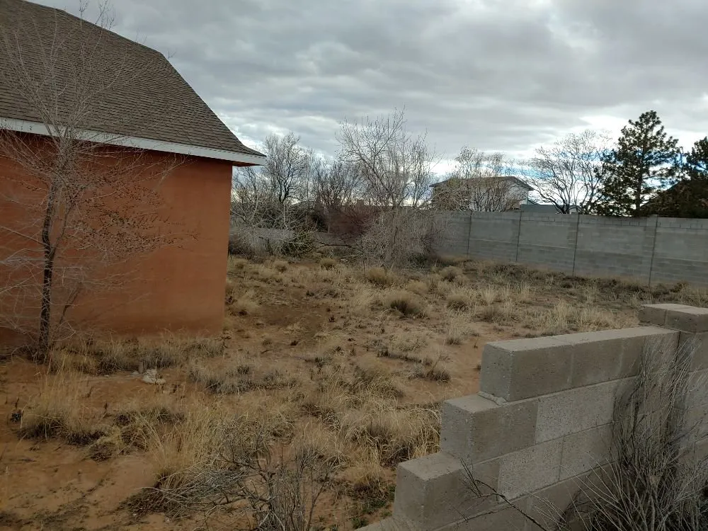 Affordable yard maintenance in Albuquerque, NM by Tazz Landscape and Trash Removal
