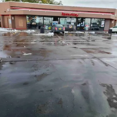 Tazz Landscape and Trash Removal Logo