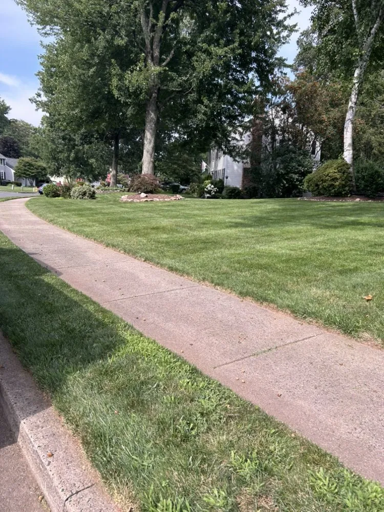 Affordable yard cleanup service in Manchester, CT by TB Coatings and Landscaping