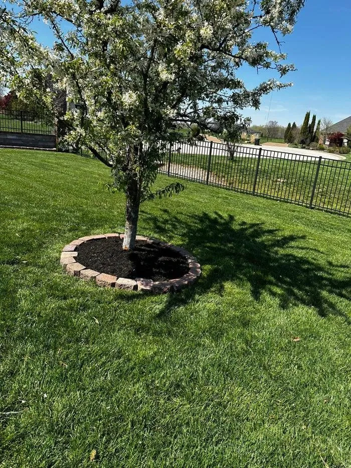 Trusted lawn care service for homes across Evansville, IN - TB ENTERPRISE