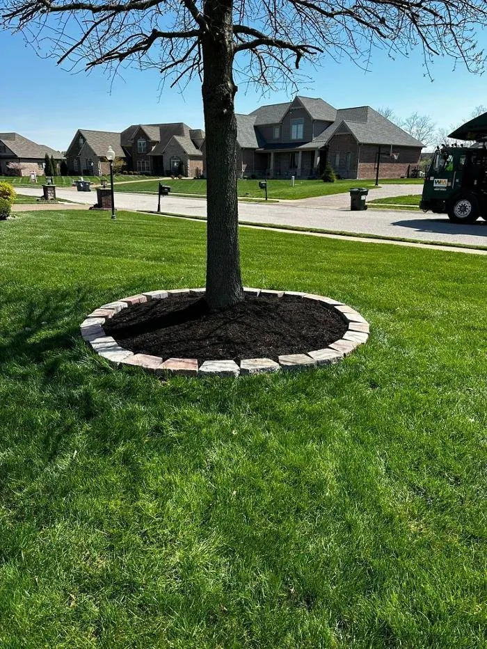 Reliable landscape design in Evansville, IN by TB ENTERPRISE