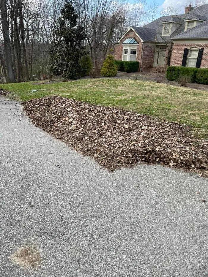 Affordable yard cleanup service in Evansville, IN - TB ENTERPRISE