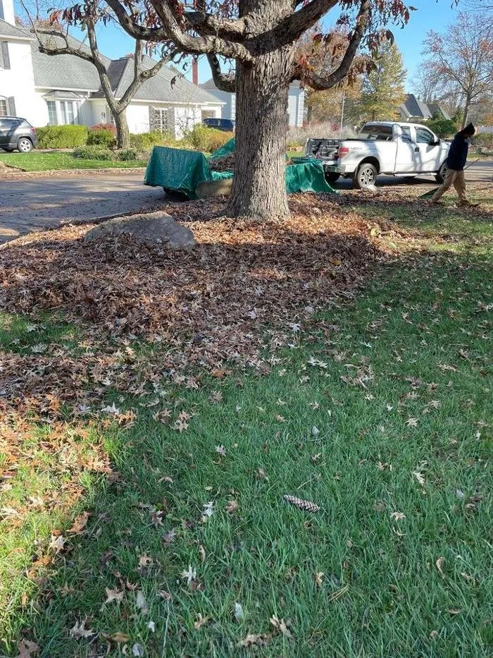 Custom landscape installation in Evansville, IN by TB ENTERPRISE