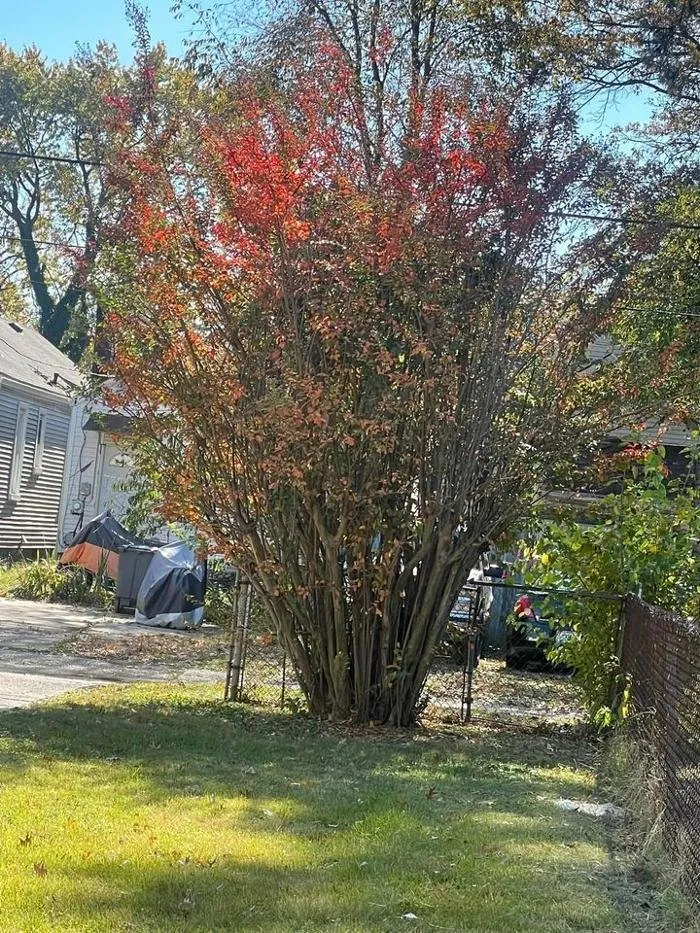 Affordable outdoor landscaping in Evansville, IN - TB ENTERPRISE