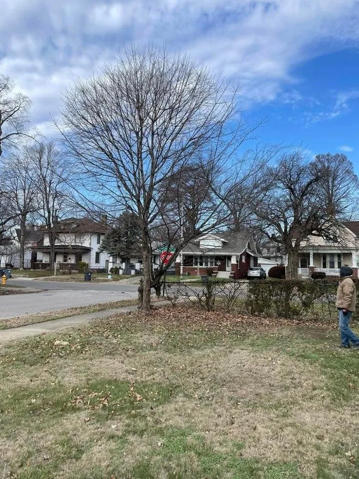 Top-rated yard cleanup service for residential properties across Evansville, IN - TB ENTERPRISE