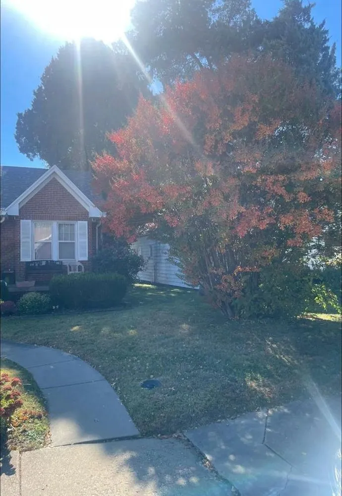 Top-rated yard cleanup service with custom design in Evansville, IN by TB ENTERPRISE