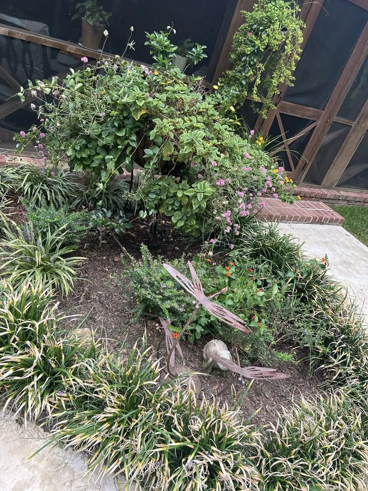 Expert yard maintenance for homes in Raymond, MS by TB Enterprise