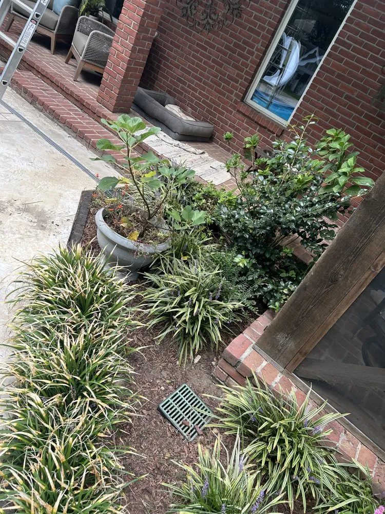 Local residential landscaping for residential properties in Raymond, MS by TB Enterprise