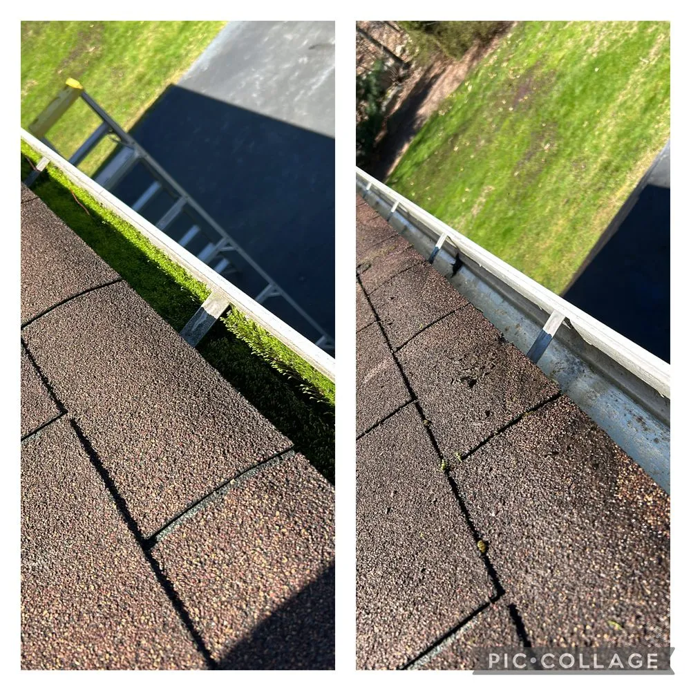 Local yard maintenance with custom design across East Providence, RI - T&B Gutter Service