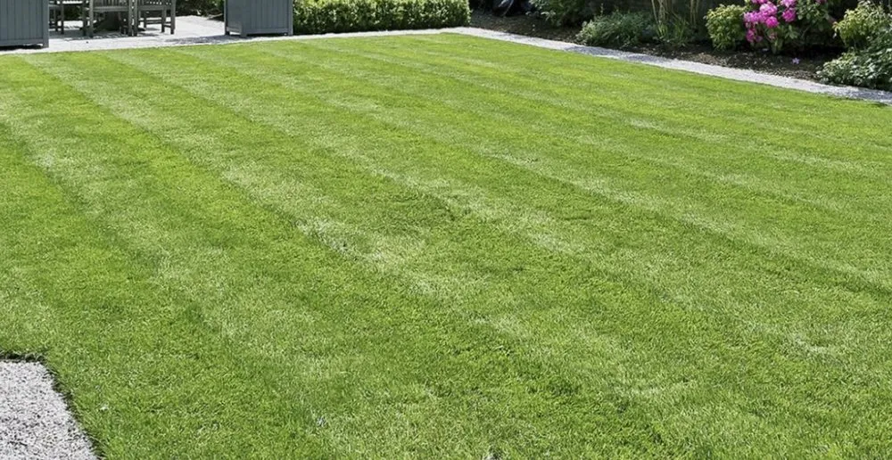 Top-rated residential landscaping in Highland, IL - TB Landscape