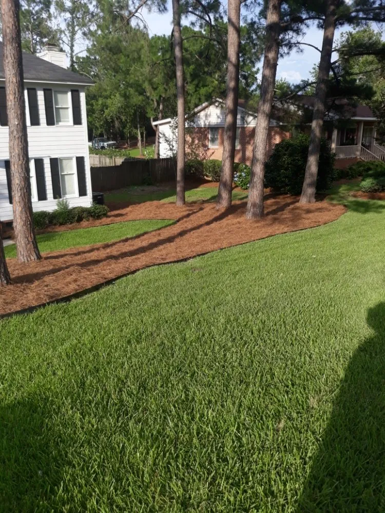 Reliable residential landscaping experts serving Lugoff, SC - TB Landscaping