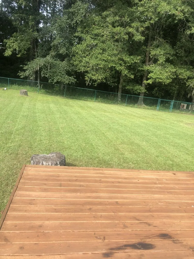 Affordable outdoor landscaping in Conway, SC - T&B Landscaping Services