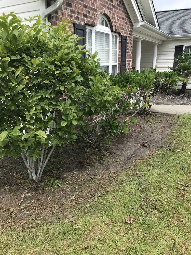 Top-rated lawn care service in Conway, SC by T&B Landscaping Services