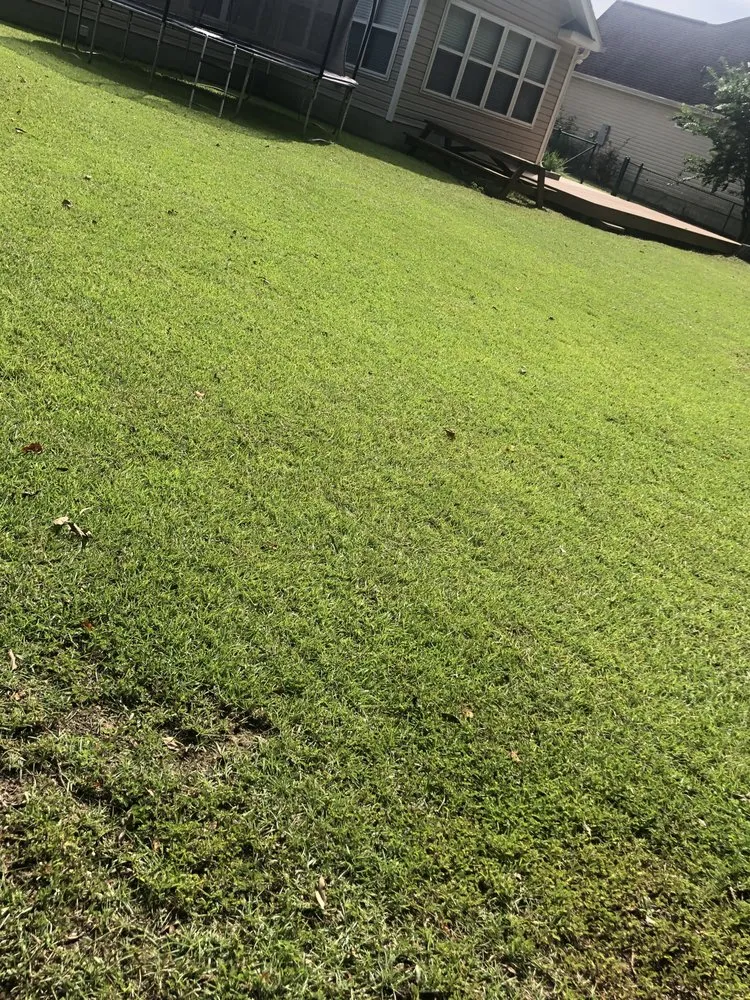 Local landscape design in Conway, SC by T&B Landscaping Services