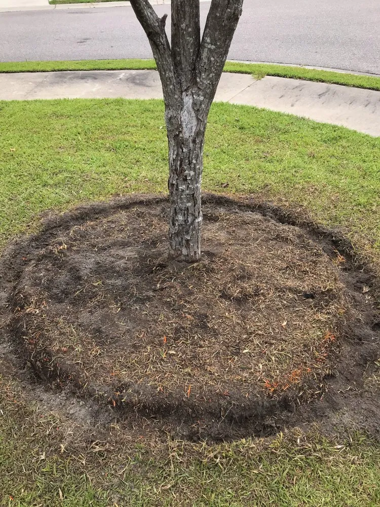 Affordable landscape installation in Conway, SC by T&B Landscaping Services