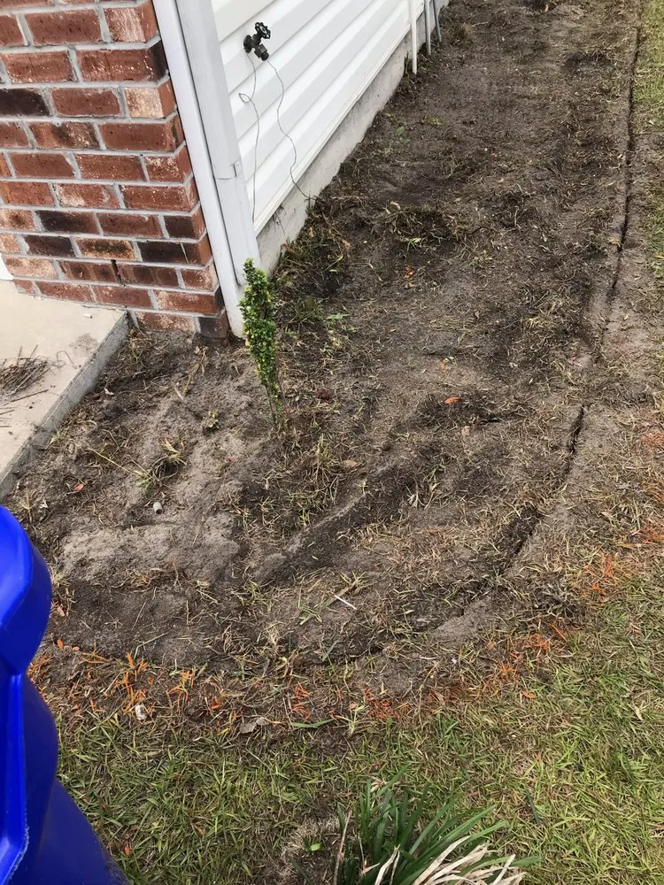 Trusted yard maintenance for residential properties across Conway, SC - T&B Landscaping Services