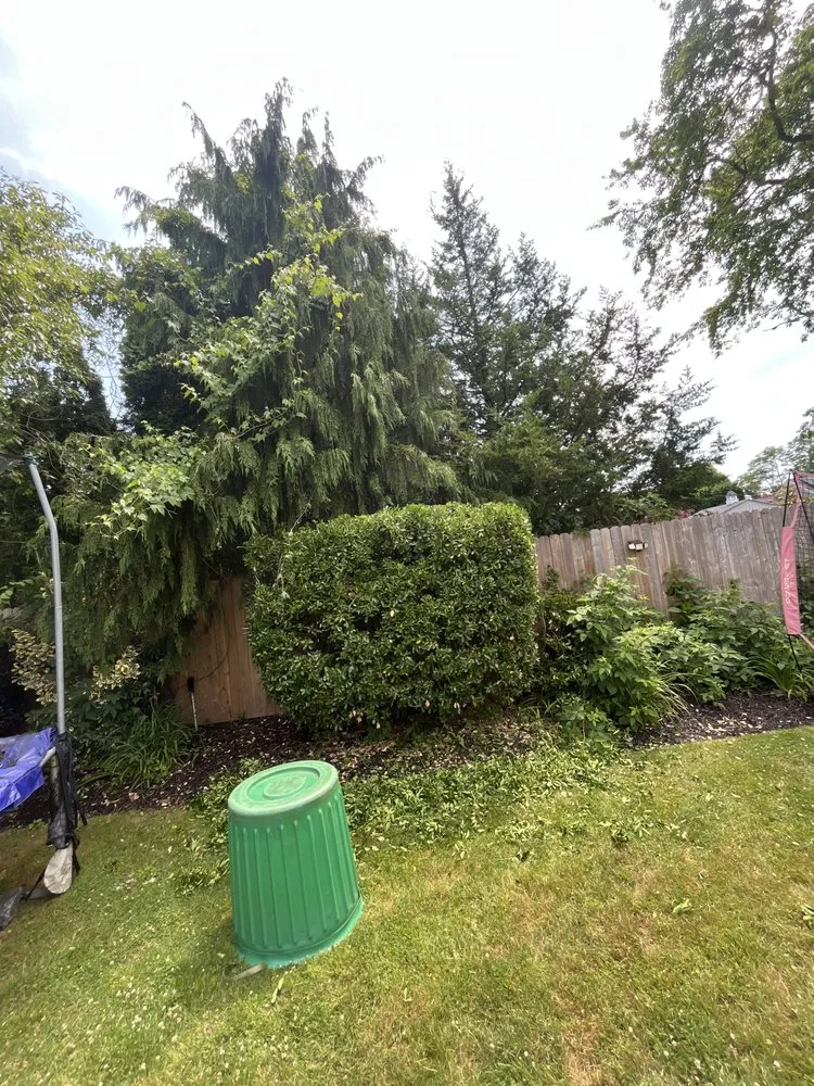 Expert lawn mowing service in West Islip, NY - TB Landscaping