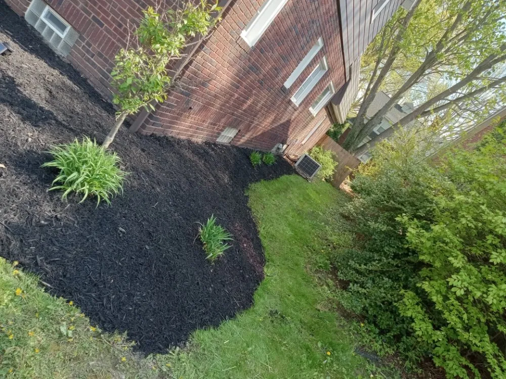 Professional lawn care service in Akron, OH by T&B Lawn and Garden Service