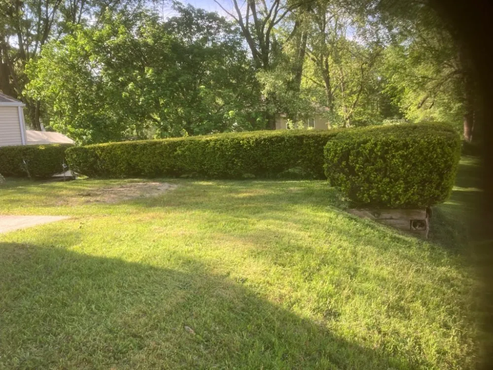 Local residential landscaping in Akron, OH by T&B Lawn and Garden Service