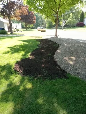 T&B Lawn and Garden Service Logo