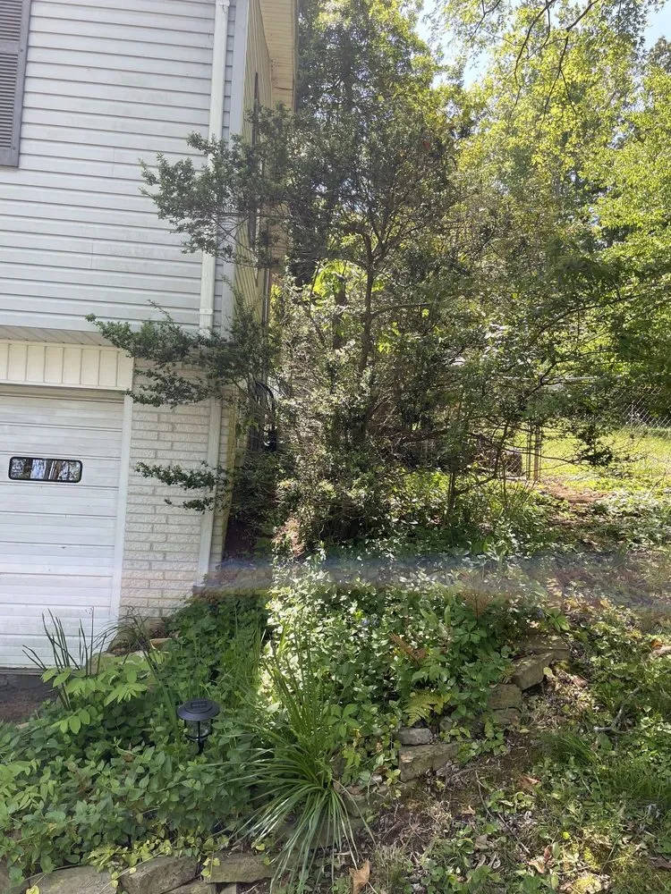 Local landscape installation experts serving Cookeville, TN - T&B Lawn Care