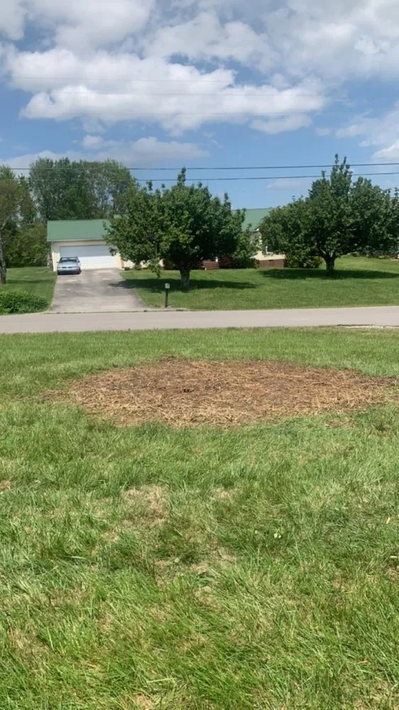 Trusted landscape installation in Cookeville, TN - T&B Lawn Care