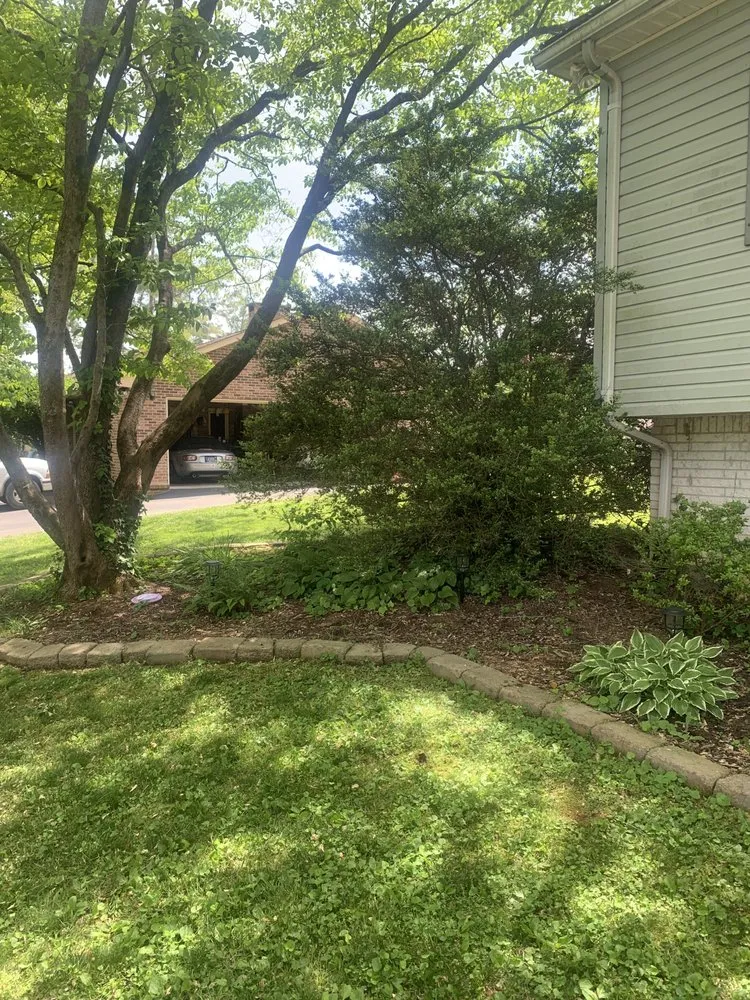 Affordable lawn mowing service in Cookeville, TN by T&B Lawn Care