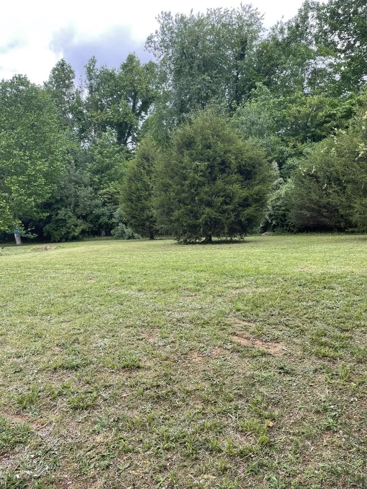 Professional garden landscaping in Cookeville, TN by T&B Lawn Care