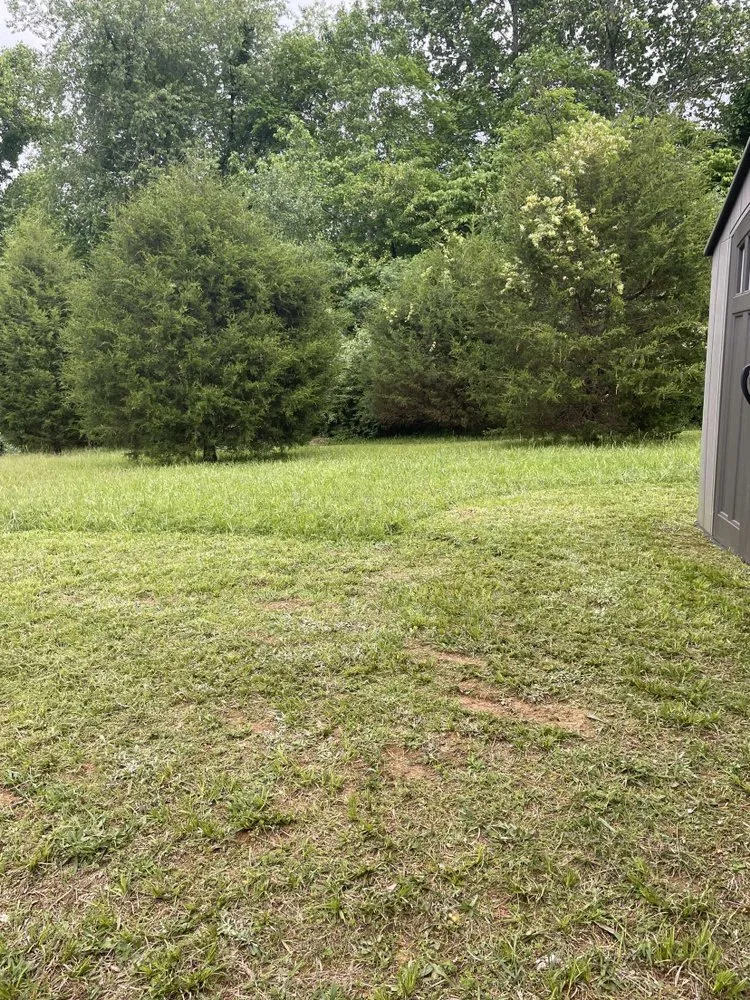 Local yard cleanup service experts serving Cookeville, TN - T&B Lawn Care